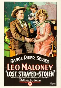 Plakat filmu Lost, Strayed or Stolen