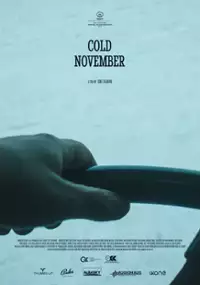 Plakat filmu Nëntor i Ftohtë