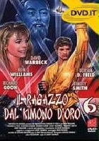 plakat filmu Wojownik karate 6