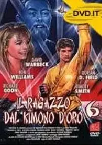 Plakat filmu Wojownik karate 6