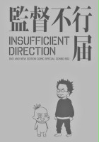 plakat filmu Insufficient Direction