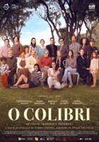 plakat filmu Il colibrì