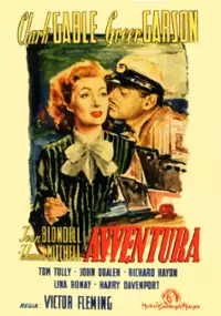 Plakat filmu Przygoda