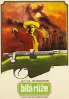 plakat filmu Rosa blanca
