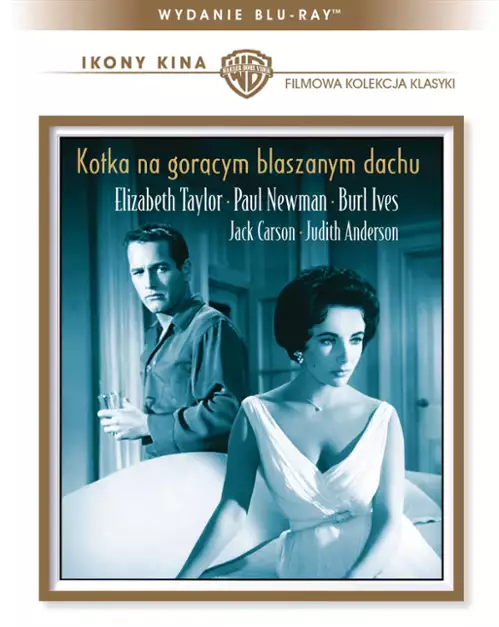 plakat filmu Kotka na gorącym, blaszanym dachu