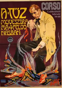 Plakat filmu A Tüz