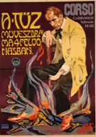 plakat filmu A Tüz