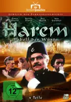 plakat filmu Harem