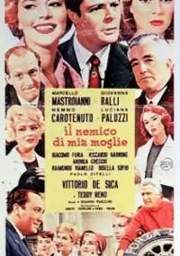 Plakat filmu Il Nemico di mia moglie