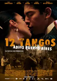 Plakat filmu 12 tangos - Pasaje de regreso a Buenos Aires