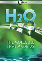 plakat serialu H20: The Molecule That Made Us