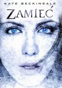 Plakat filmu Zamieć