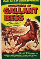 Matthew Rapf / Adventures of Gallant Bess