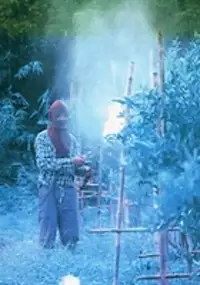 Plakat filmu Orange Alert