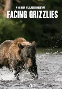 Plakat filmu Spotkania z niedźwiedziem grizzly
