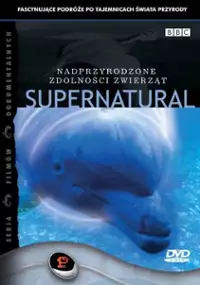 Plakat filmu Nadprzyrodzone zdolności zwierząt