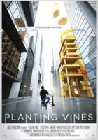 Jordan Krug / Planting Vines