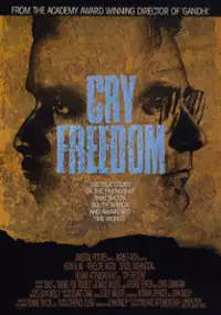 Plakat filmu Krzyk wolności