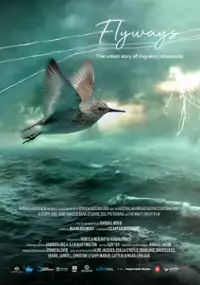 Plakat filmu Flyways: the untold journey of migratory shorebirds