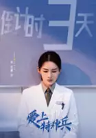 plakat serialu Qin Ai De Rong Zhuang