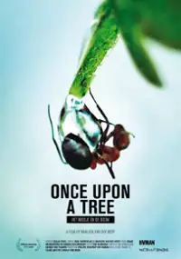 Plakat filmu Było sobie drzewo