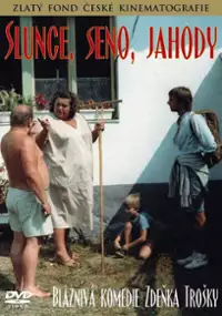 Plakat filmu Słońce, siano, truskawki