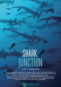 Plakat filmu Skrzyżowanie rekinów