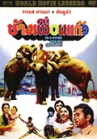 Rajesh Khanna / $webTool.doNotEscapeHTMLSafe($film.getTitleByLocaleOrOriginalTitle($rc.locale))