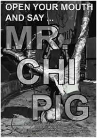 Plakat filmu Open Your Mouth and Say... Mr. Chi Pig