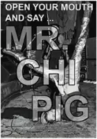 Sean Patrick Shaul / Open Your Mouth and Say... Mr. Chi Pig