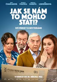 Plakat filmu Jak se nám to mohlo stát!? 