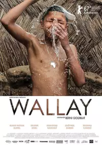 Plakat filmu Wallay