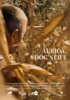 Mihai Dragolea / Aurică, viață de câine