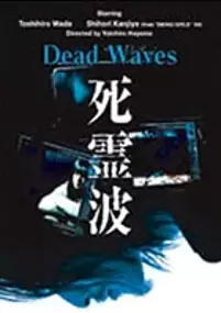 Plakat filmu Shiryôha