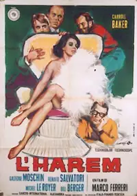 Plakat filmu Harem
