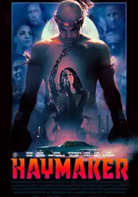 Plakat filmu Haymaker