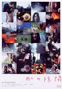 Plakat filmu Hada no sukima