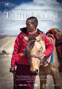 Plakat filmu Powodzenia, Tashi!