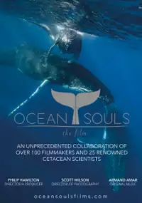 Plakat filmu W głębi oceanu