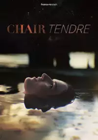 Plakat serialu Chair tendre
