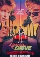 Prawo jazdy (1988) plakat