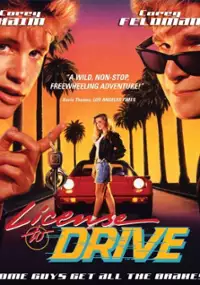 Plakat filmu Prawo jazdy