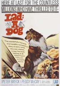 Plakat filmu Lad: A Dog