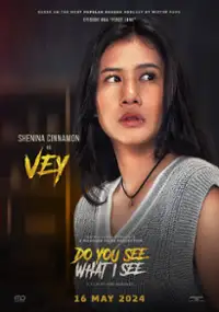 Plakat filmu Do You See What I See