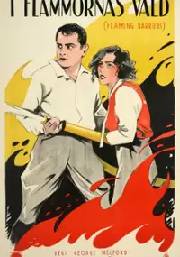 Plakat filmu Flaming Barriers