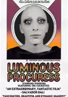 plakat filmu Luminous Procuress