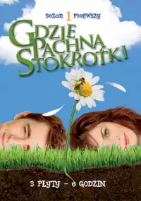 Plakat serialu Gdzie pachną stokrotki