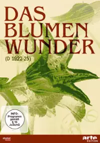 Plakat filmu Das Blumenwunder