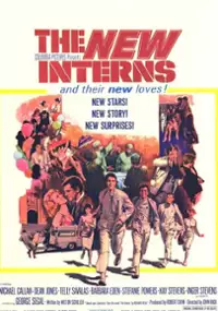 Plakat filmu The New Interns