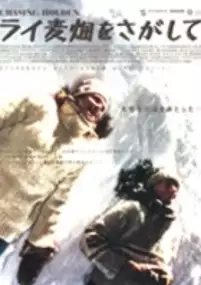 Plakat filmu W pogoni za Holdenem